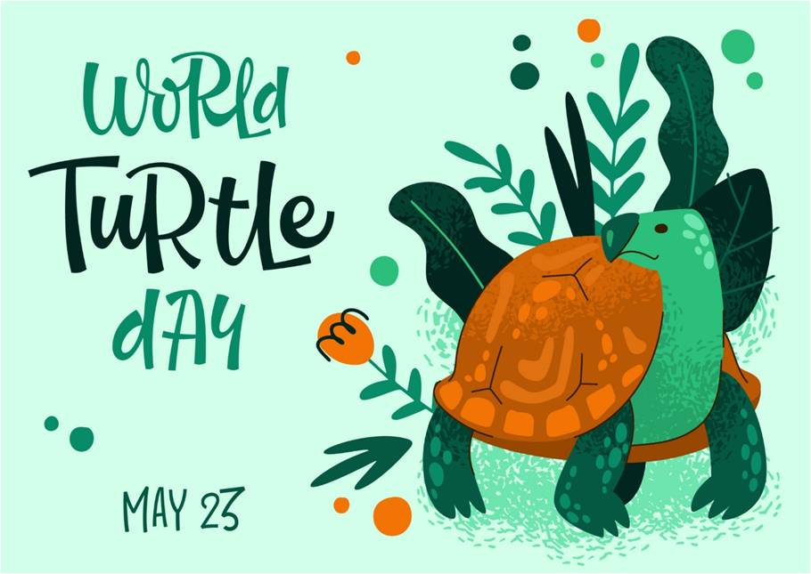 World Turtle Day 23rd May Ministry of Wildlife and Forest Resources